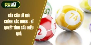 Bắt cầu lô rời chính xác Du88