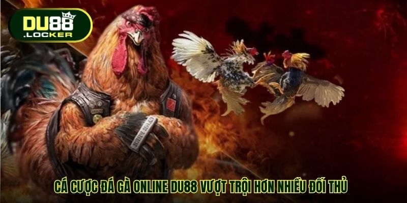 Cá cược Đá gà online DU88 vượt trội hơn nhiều đối thủ