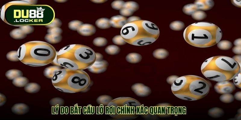 Lý do bắt cầu lô rơi chính xác quan trọng