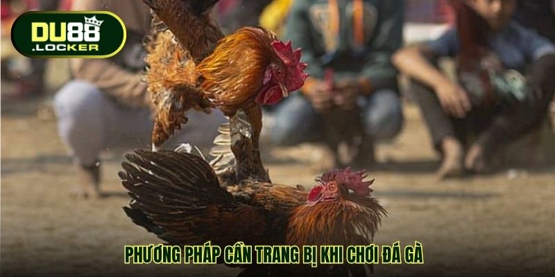Phương pháp cần trang bị khi chơi đá gà
