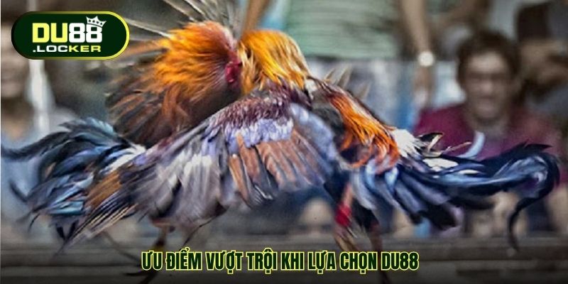 Ưu điểm vượt trội khi lựa chọn DU88